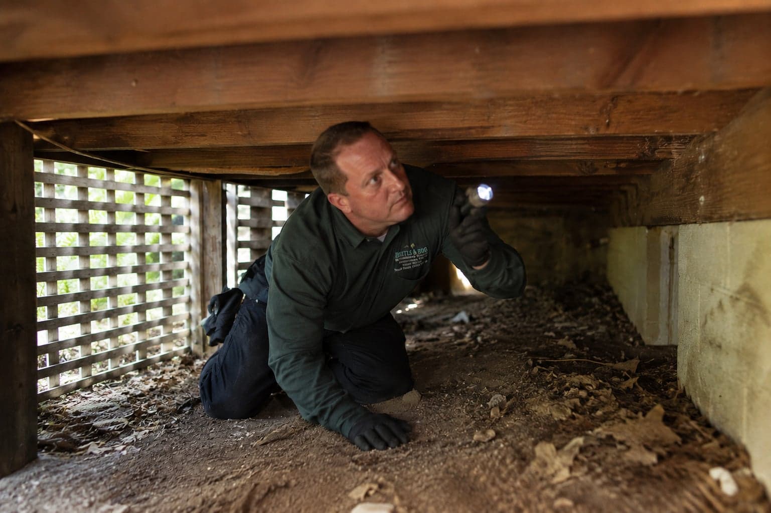 Battle A Bug termite inspection on Long Island