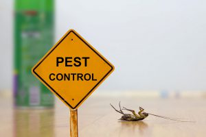 Wantagh NY Residential Exterminator